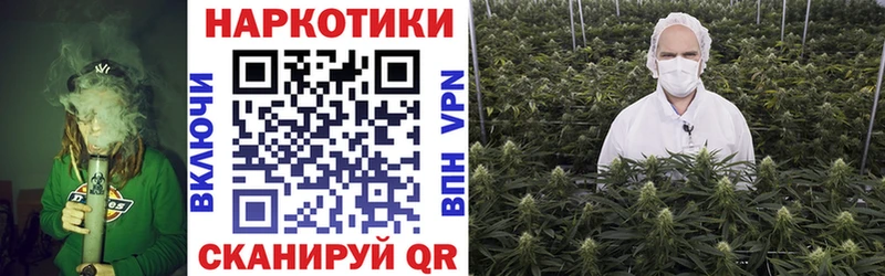 Где купить Нижнекамск A-PVP  Каннабис  Cocaine 