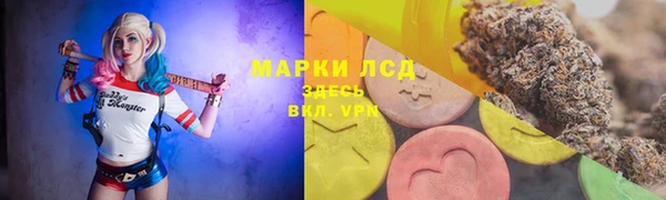 мдпв Магас