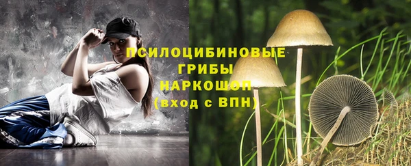 мдпв Магас